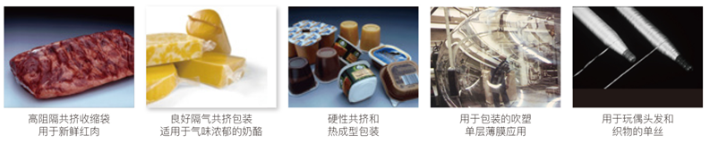 1742374431474_副本MA.png
